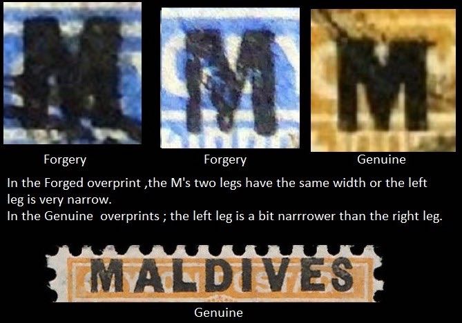 Maldives_Genuine_and_Forgery_Characteristics